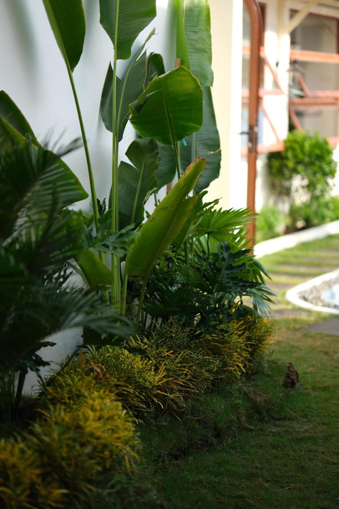 Mon House Hotell Phan Thiet Eksteriør bilde
